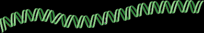 Latest Y-DNA Haplogroup numbers