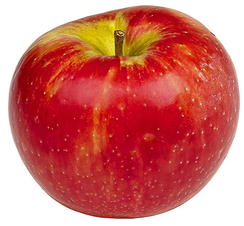apple_honeycrisp