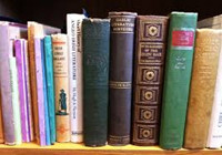 Special research day in the Irish Collection
