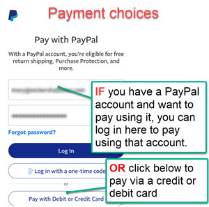 Example of the Pay with PayPal checkout selection